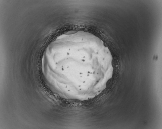 X0000115670961200912031352