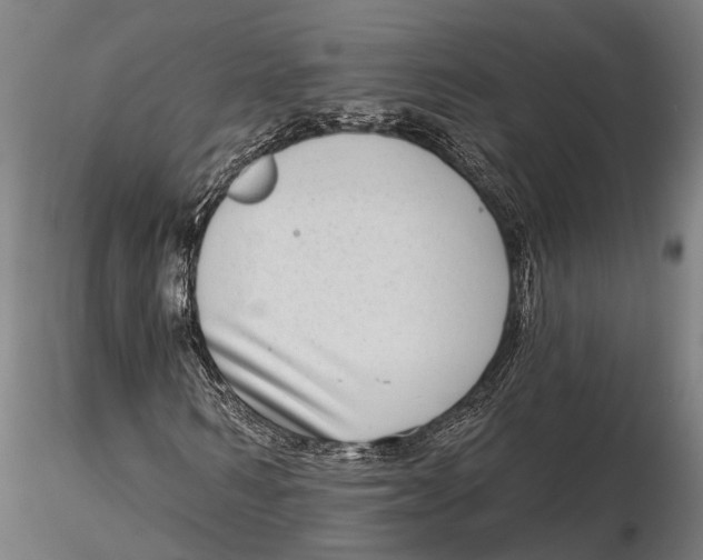 X0000115670962200912031352