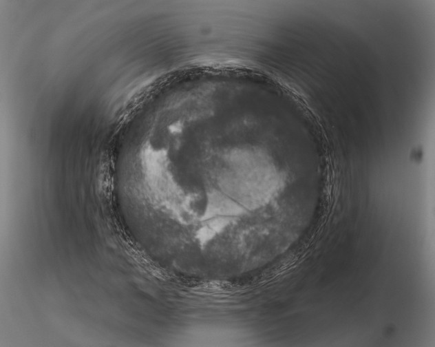 X0000115670966200912031352