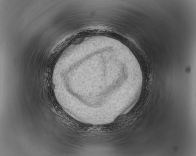 X0000115670967200912031352