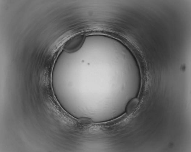 X0000115670969200912031352