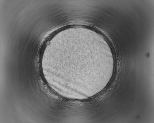 X0000115670971200912031352