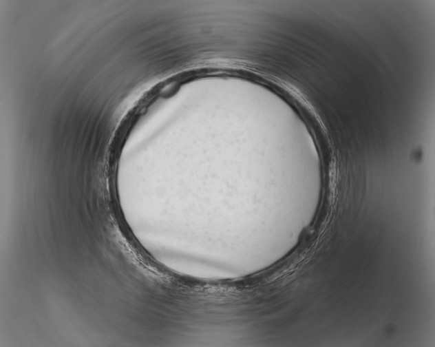 X0000115670972200912031352