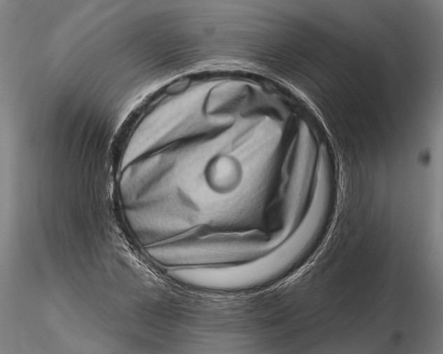 X0000115670973200912031352