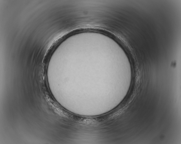 X0000115670974200912031352