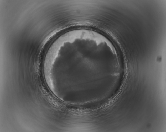 X0000115670975200912031352