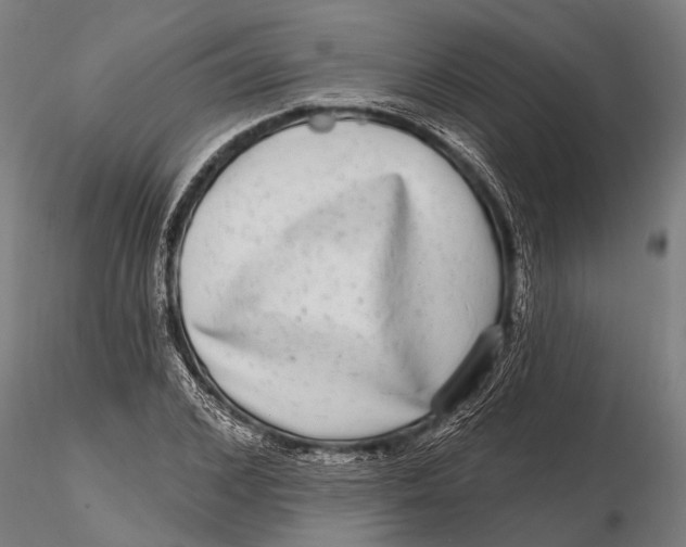 X0000115670976200912031352