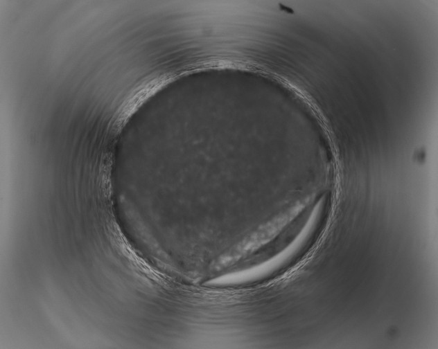 X0000115670977200912031352