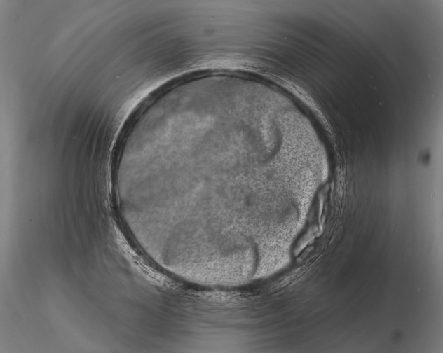 X0000115670980200912031352