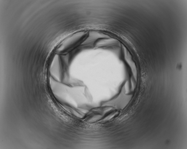 X0000115670981200912031352