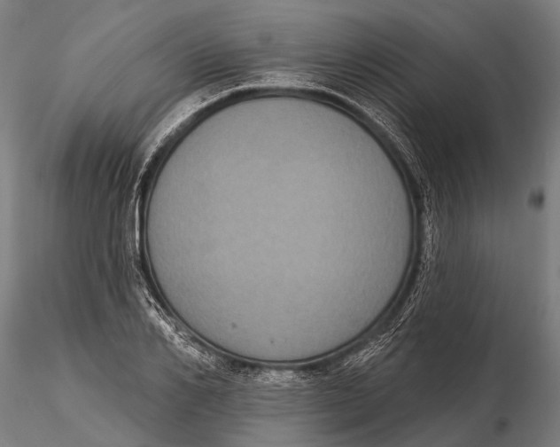 X0000115670982200912031352