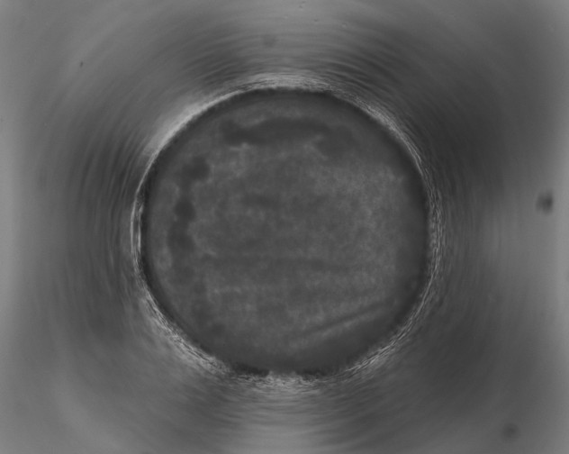 X0000115670983200912031352