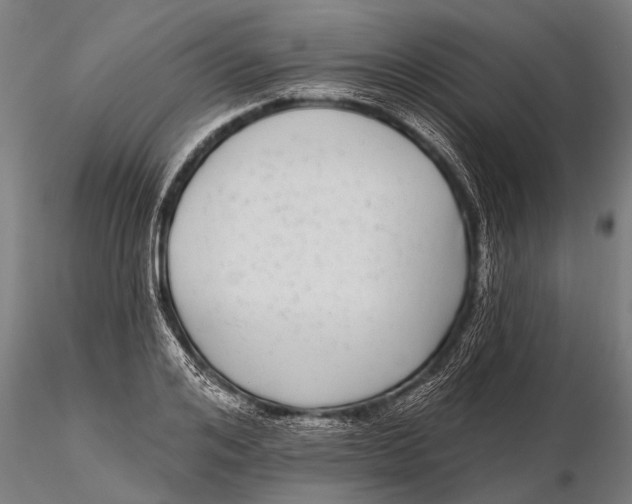 X0000115670984200912031352