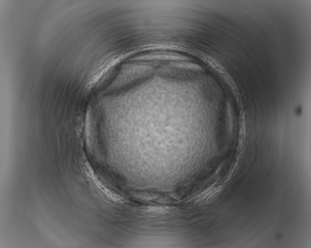 X0000115670985200912031352