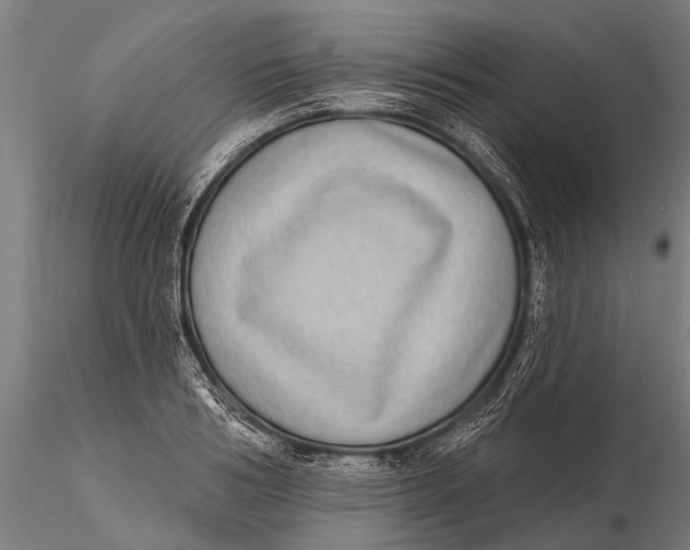 X0000115670986200912031352