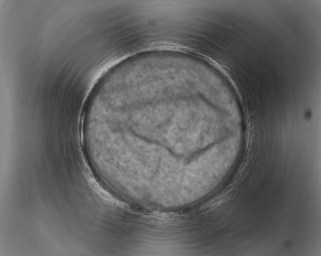 X0000115670987200912031352