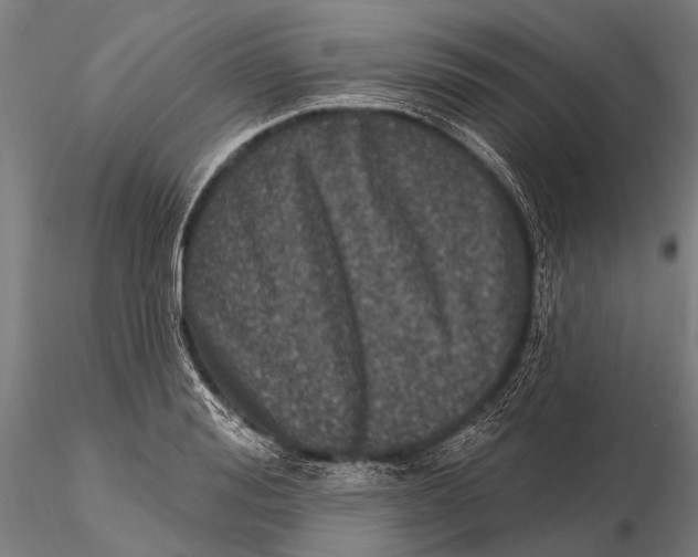 X0000115670988200912031352