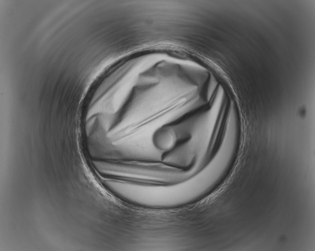 X0000115670989200912031352