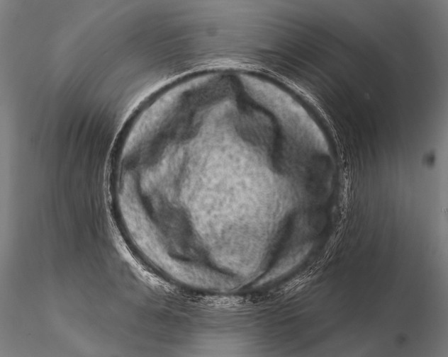 X0000115670991200912031352