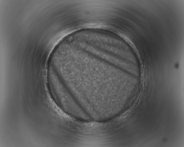 X0000115670992200912031352