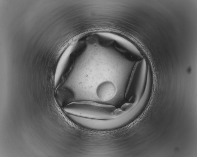 X0000115670993200912031352