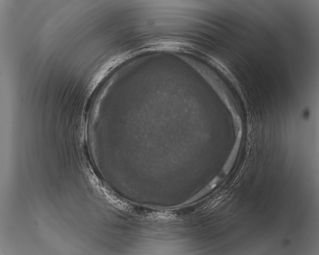 X0000115670994200912031352