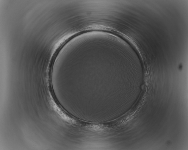 X0000115670995200912031352