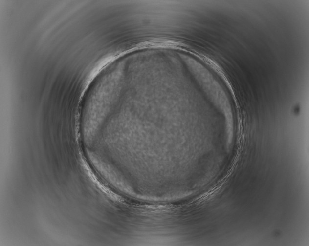 X0000115670997200912031352