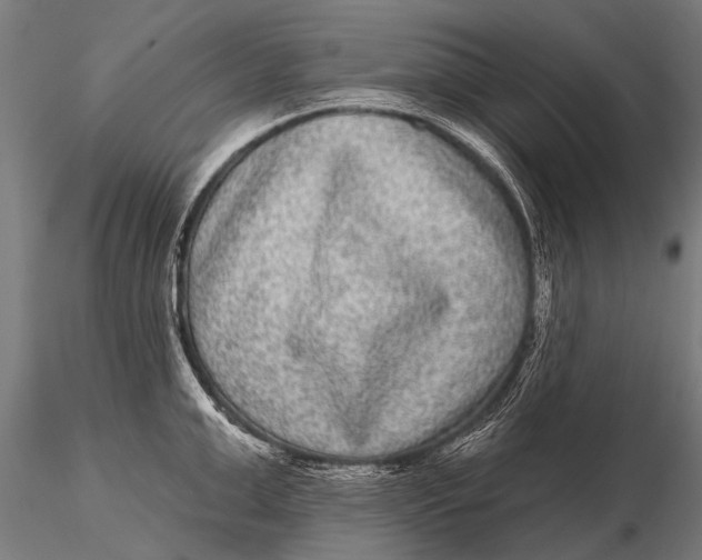 X0000115670999200912031352