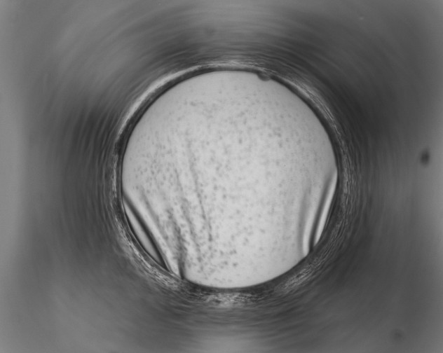 X0000115671000200912031352