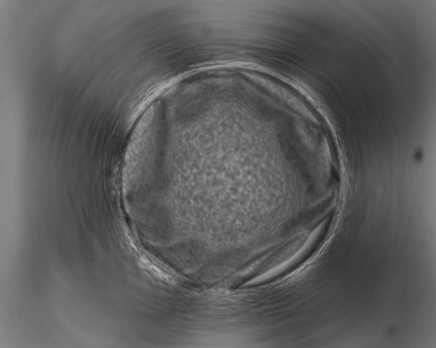 X0000115671001200912031352