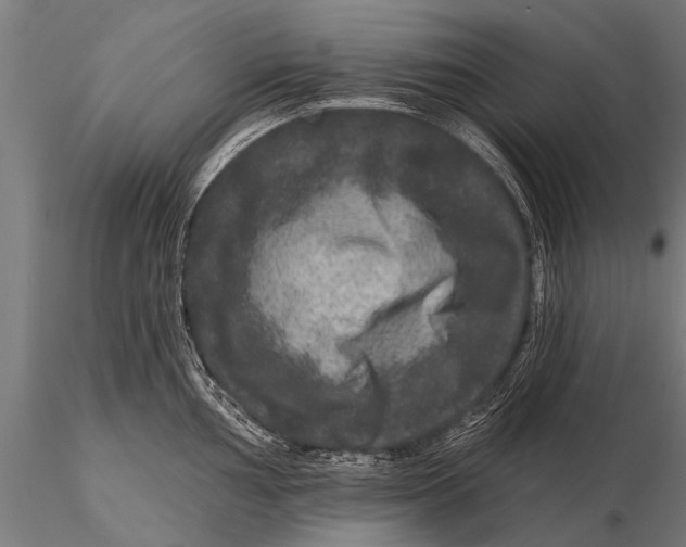 X0000115671002200912031352