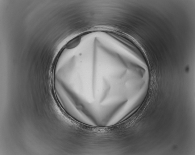 X0000115671003200912031352