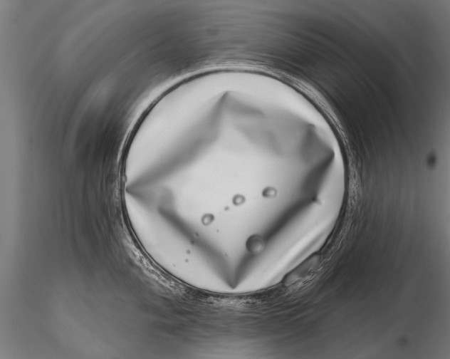 X0000115671004200912031352