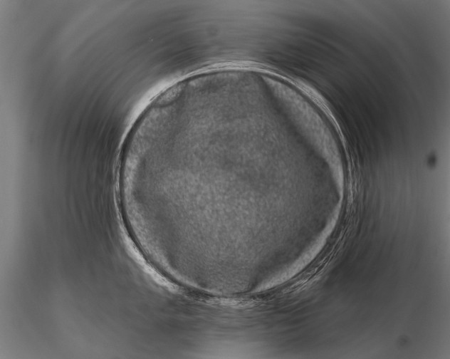 X0000115671005200912031352