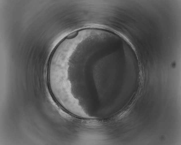 X0000115671007200912031351