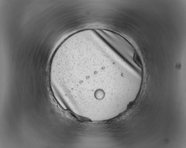 X0000115671008200912031351