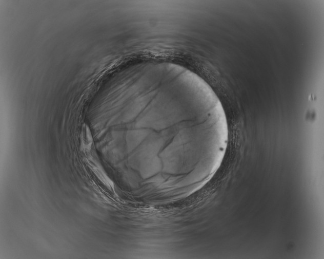 X0000115671009200912031351