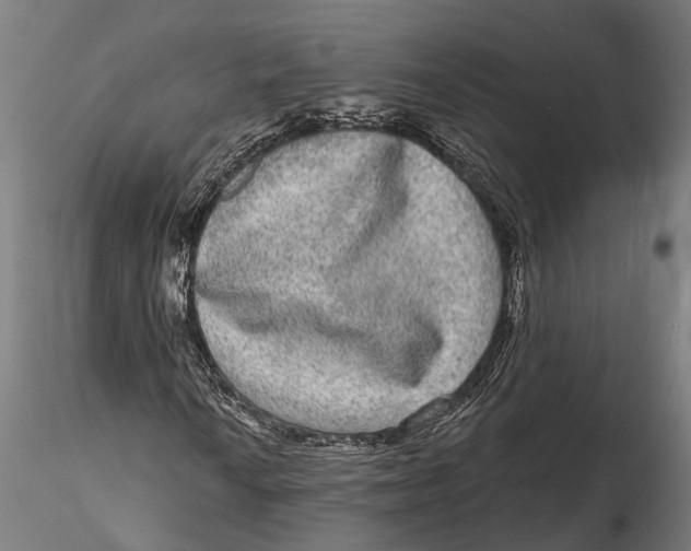 X0000115671010200912031351