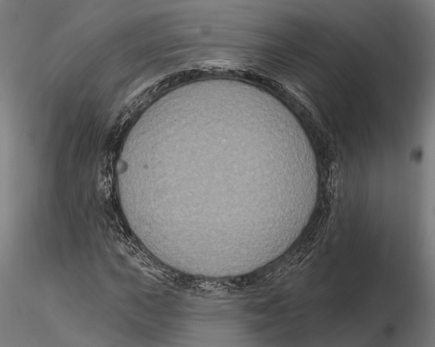 X0000115671015200912031351