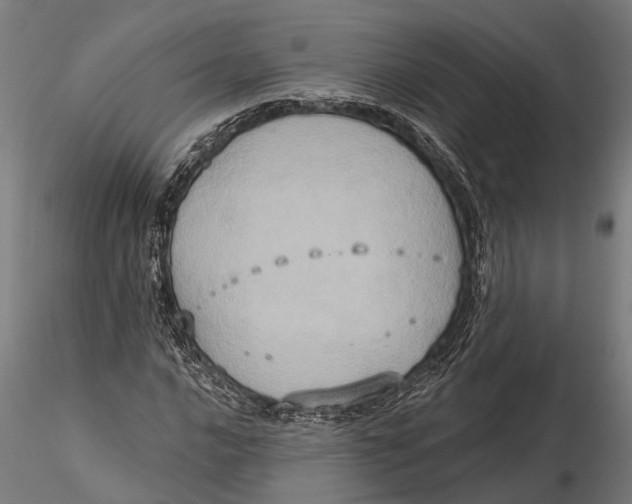 X0000115671016200912031351