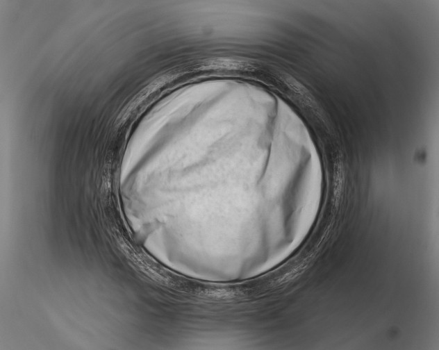 X0000115671017200912031351