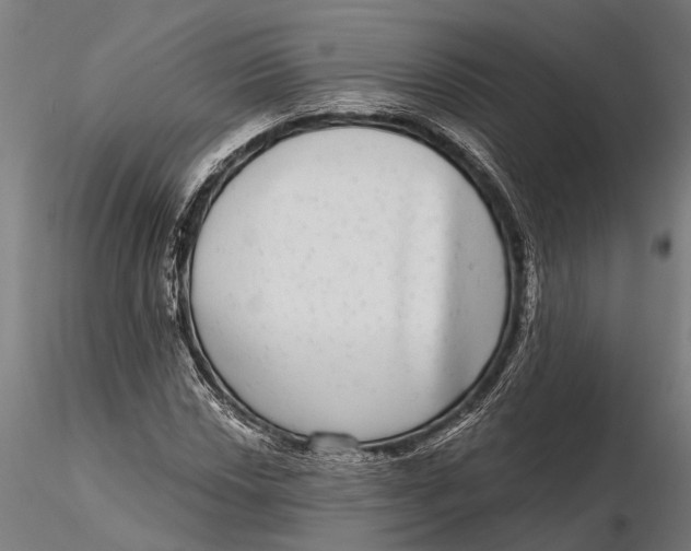 X0000115671018200912031351