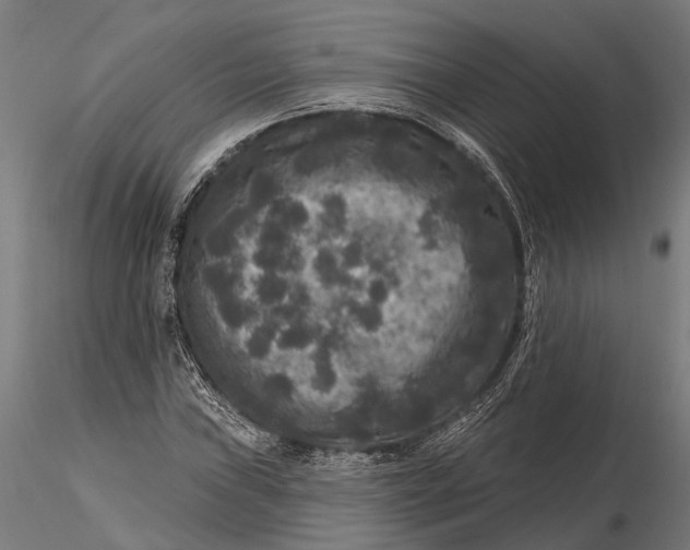 X0000115671019200912031351