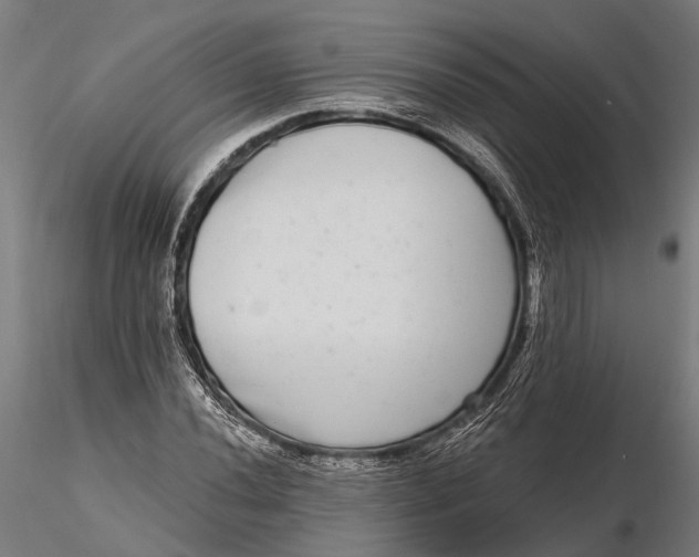 X0000115671020200912031351