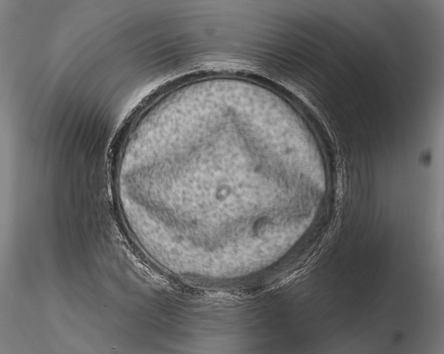 X0000115671022200912031351