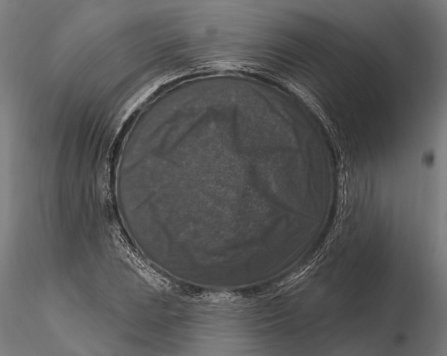 X0000115671023200912031351