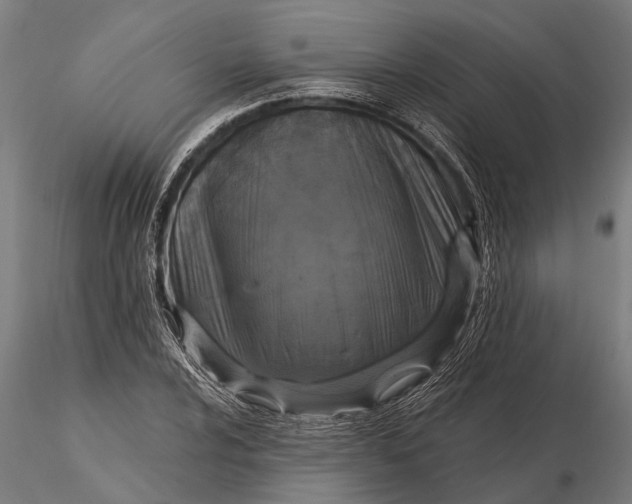 X0000115671024200912031351