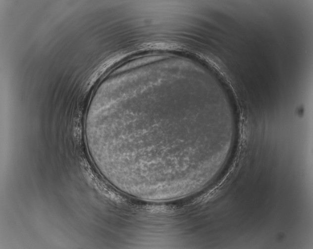 X0000115671025200912031351