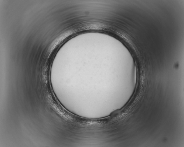 X0000115671026200912031351